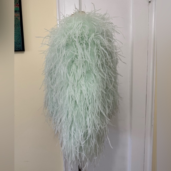 New-ALICE AND OLIVIA
Ostrich Feather Kidman Jacket In Mint - Picture 12 of 16